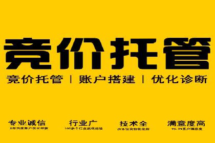 SEM托管代运营助力企业实现品牌突破